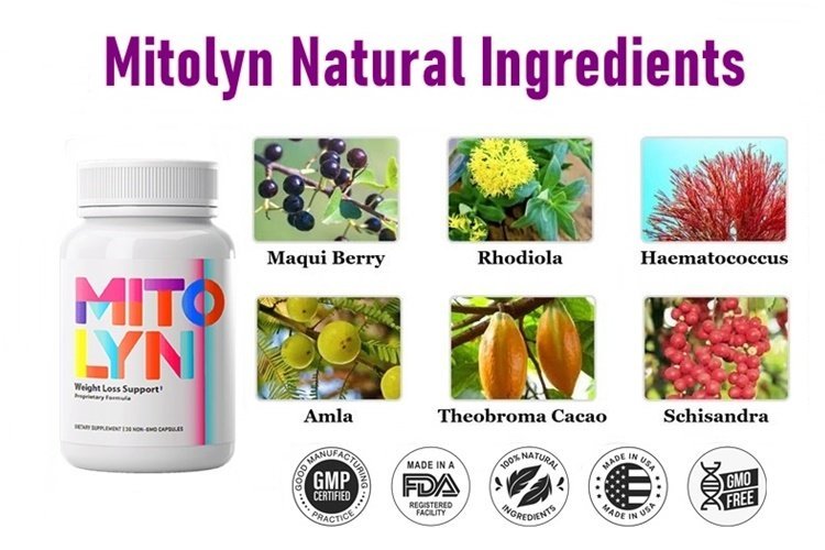 Mitolyn Ingredients